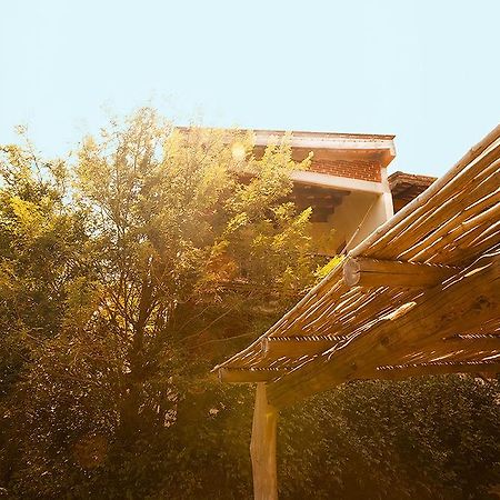 Casa Huijazoo Nature & Balance Hotel Mazunte Exterior foto